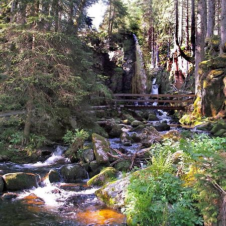 Menzenschwand-Hinterdorf C4 Albmatte-Fewo Sauna, Hallenbad Aussenbecken Massagen Nebenan מראה חיצוני תמונה