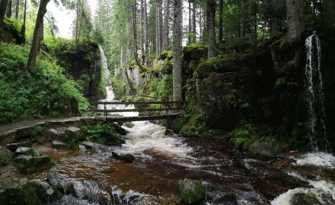 Menzenschwand-Hinterdorf C4 Albmatte-Fewo Sauna, Hallenbad Aussenbecken Massagen Nebenan מראה חיצוני תמונה