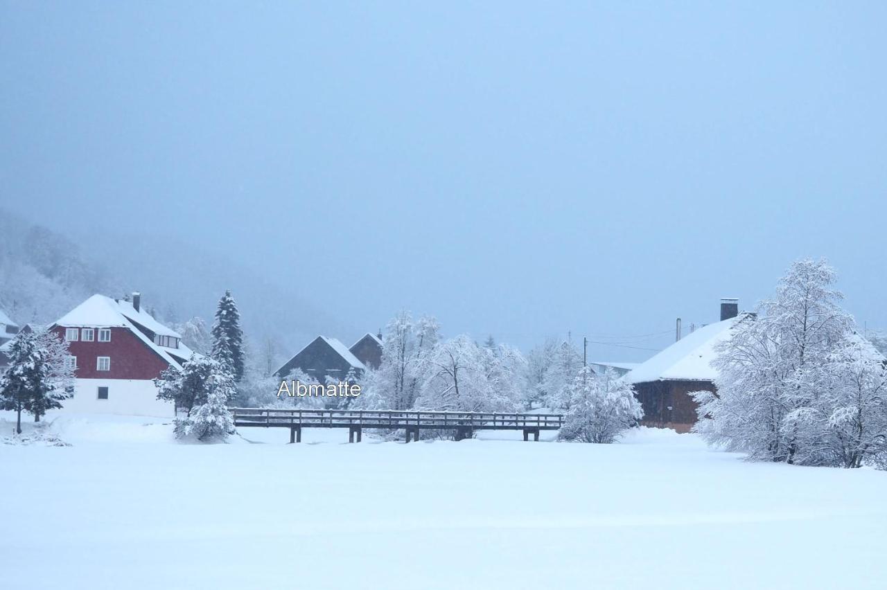 Menzenschwand-Hinterdorf C4 Albmatte-Fewo Sauna, Hallenbad Aussenbecken Massagen Nebenan מראה חיצוני תמונה