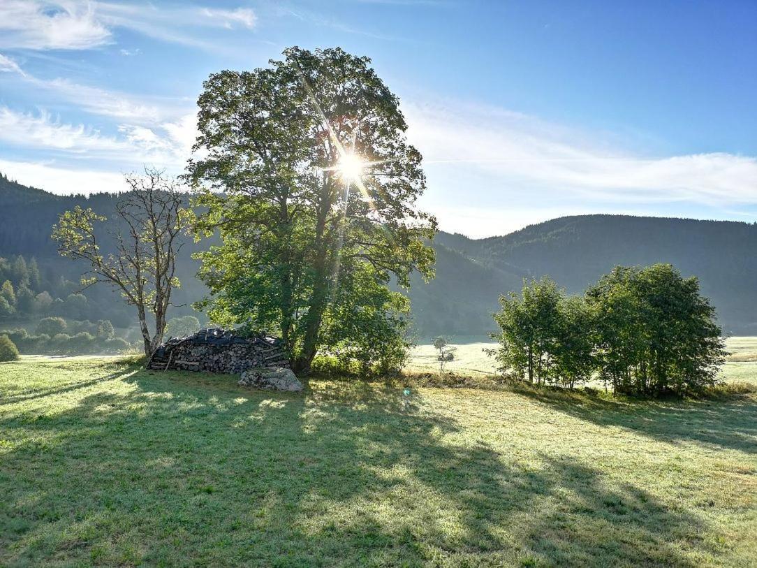 Menzenschwand-Hinterdorf C4 Albmatte-Fewo Sauna, Hallenbad Aussenbecken Massagen Nebenan מראה חיצוני תמונה