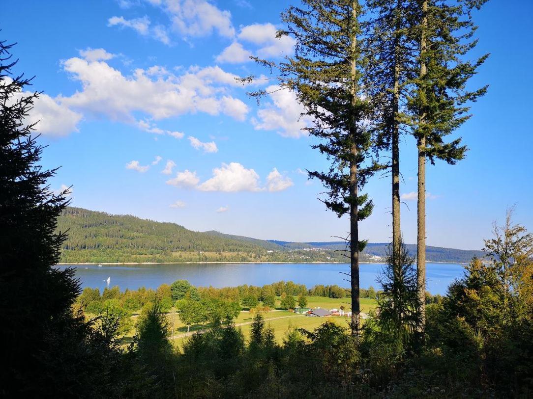 Menzenschwand-Hinterdorf C4 Albmatte-Fewo Sauna, Hallenbad Aussenbecken Massagen Nebenan מראה חיצוני תמונה