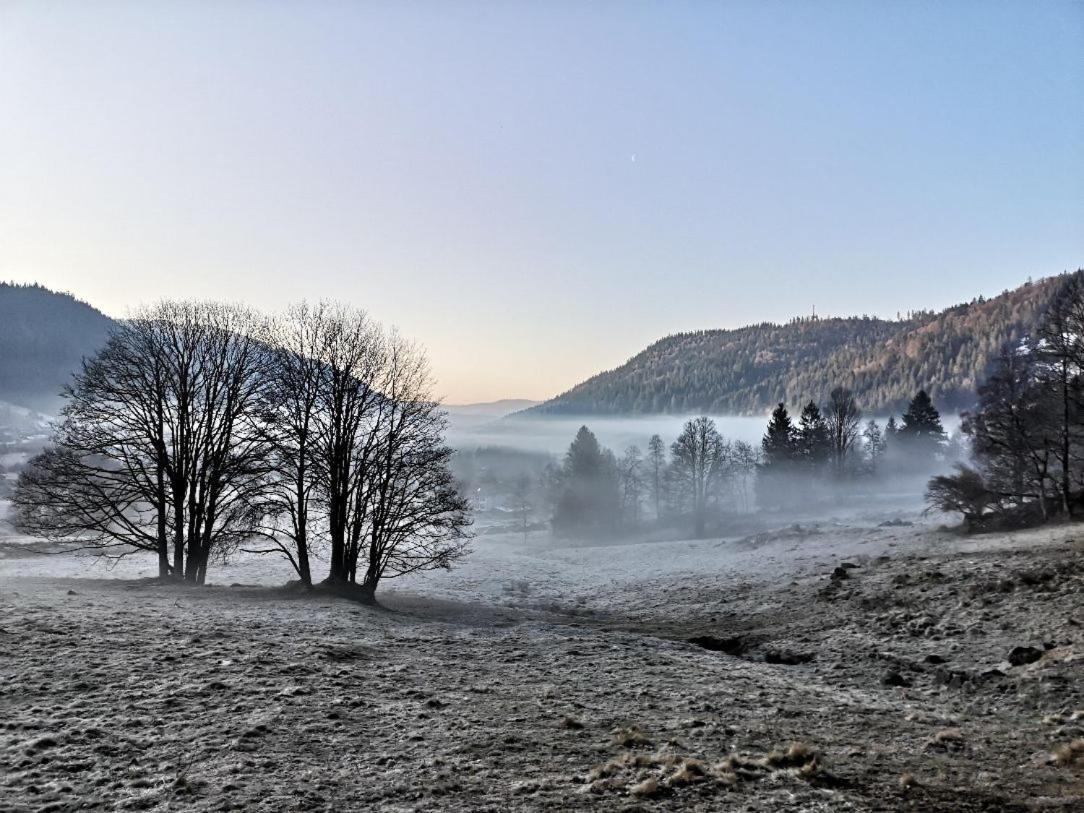 Menzenschwand-Hinterdorf C4 Albmatte-Fewo Sauna, Hallenbad Aussenbecken Massagen Nebenan מראה חיצוני תמונה