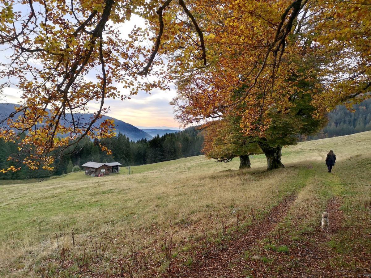 Menzenschwand-Hinterdorf C4 Albmatte-Fewo Sauna, Hallenbad Aussenbecken Massagen Nebenan מראה חיצוני תמונה