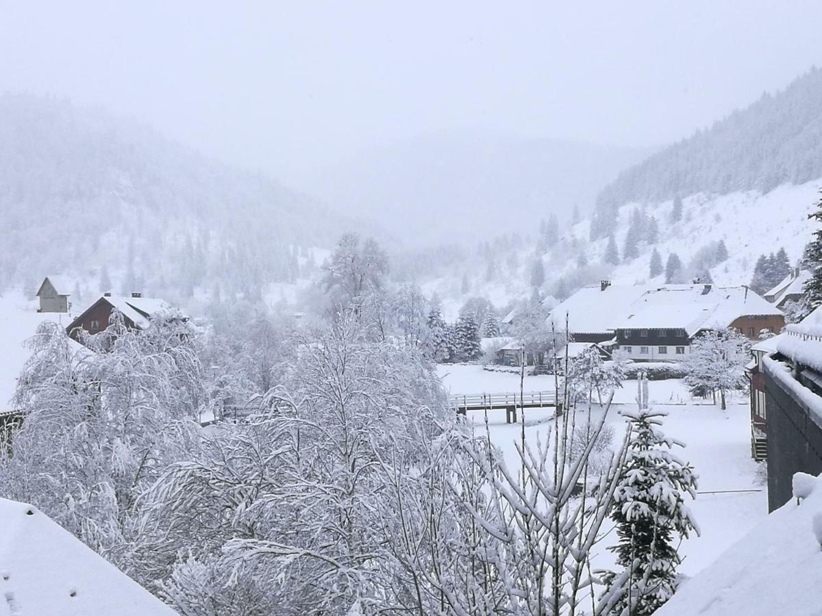 Menzenschwand-Hinterdorf C4 Albmatte-Fewo Sauna, Hallenbad Aussenbecken Massagen Nebenan מראה חיצוני תמונה