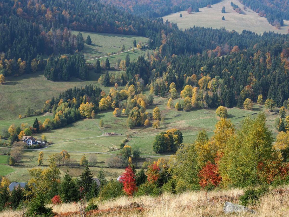 Menzenschwand-Hinterdorf C4 Albmatte-Fewo Sauna, Hallenbad Aussenbecken Massagen Nebenan מראה חיצוני תמונה
