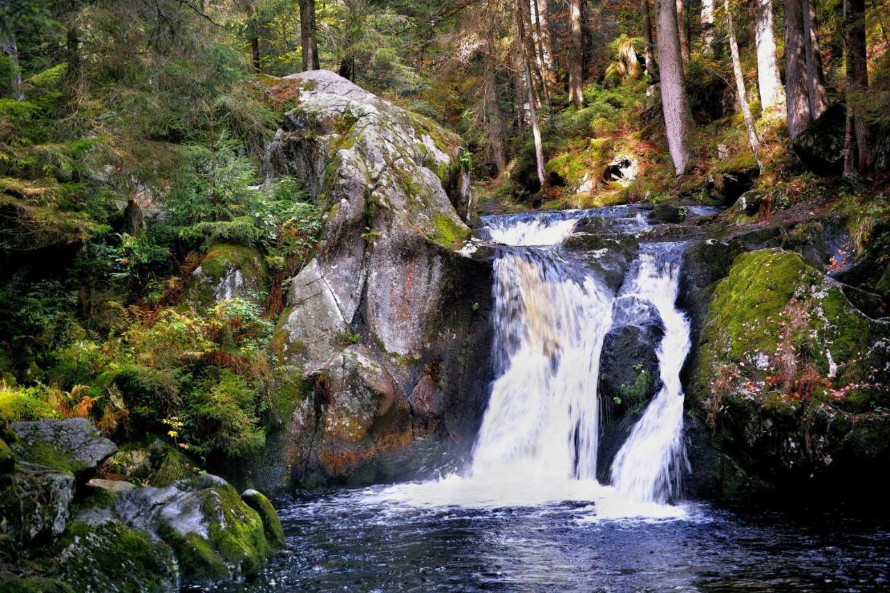 Menzenschwand-Hinterdorf C4 Albmatte-Fewo Sauna, Hallenbad Aussenbecken Massagen Nebenan מראה חיצוני תמונה