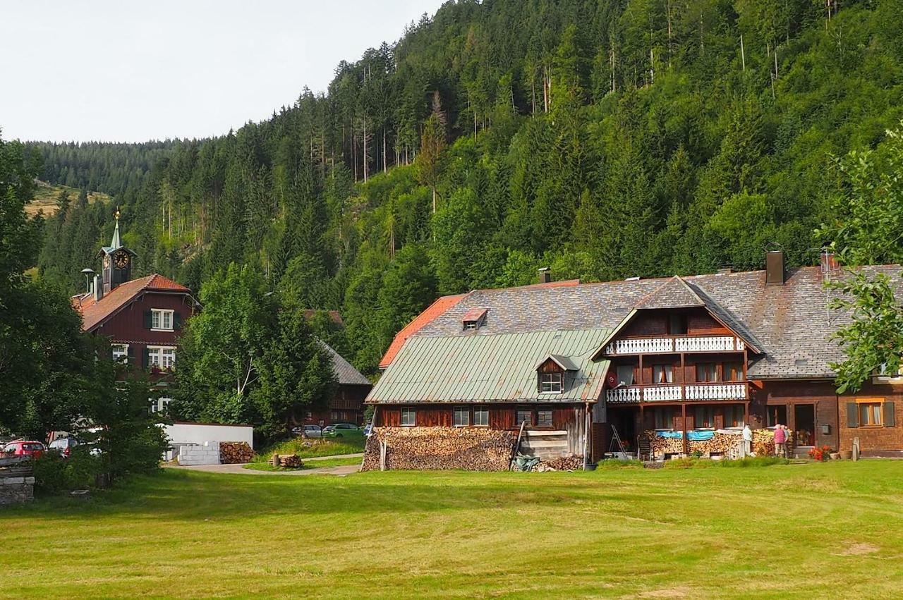 Menzenschwand-Hinterdorf C4 Albmatte-Fewo Sauna, Hallenbad Aussenbecken Massagen Nebenan מראה חיצוני תמונה