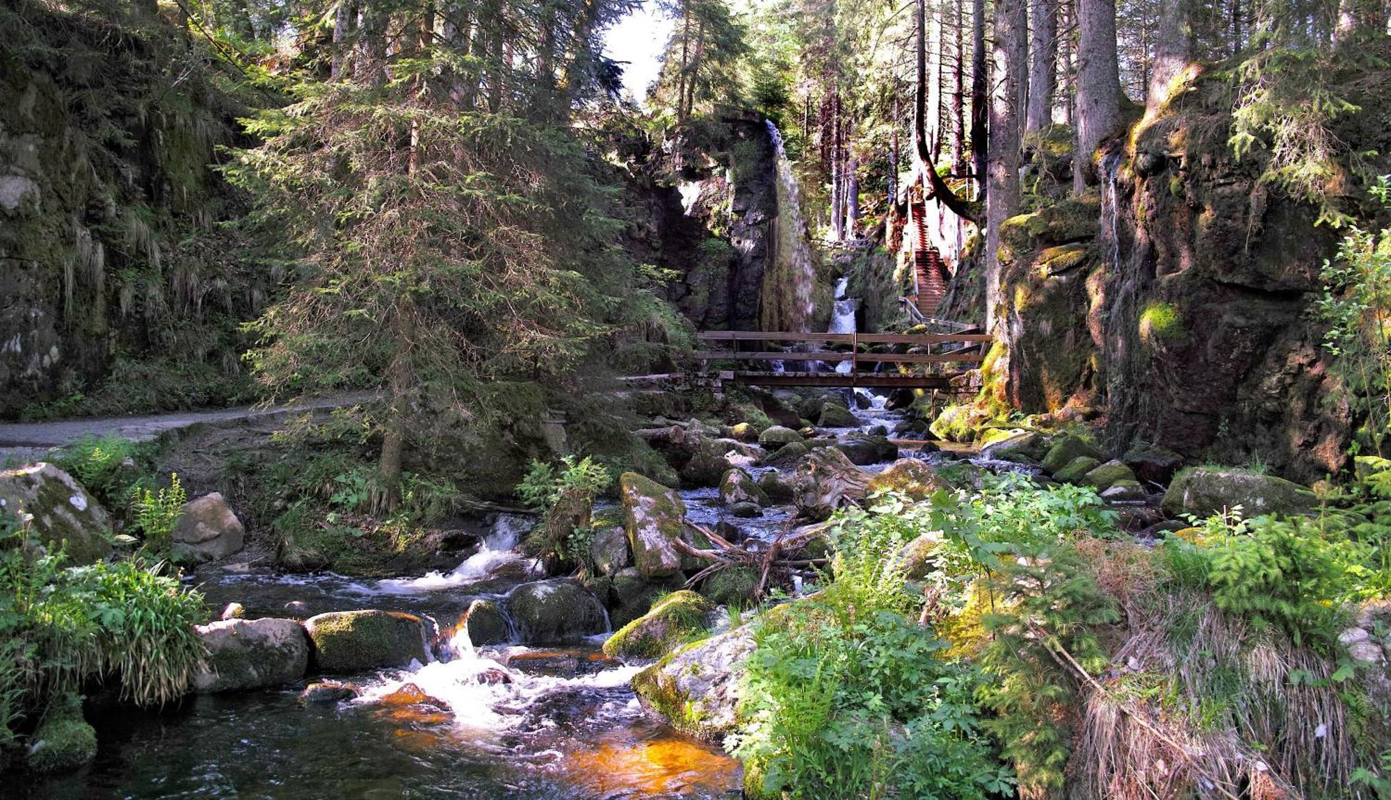 Menzenschwand-Hinterdorf C4 Albmatte-Fewo Sauna, Hallenbad Aussenbecken Massagen Nebenan מראה חיצוני תמונה