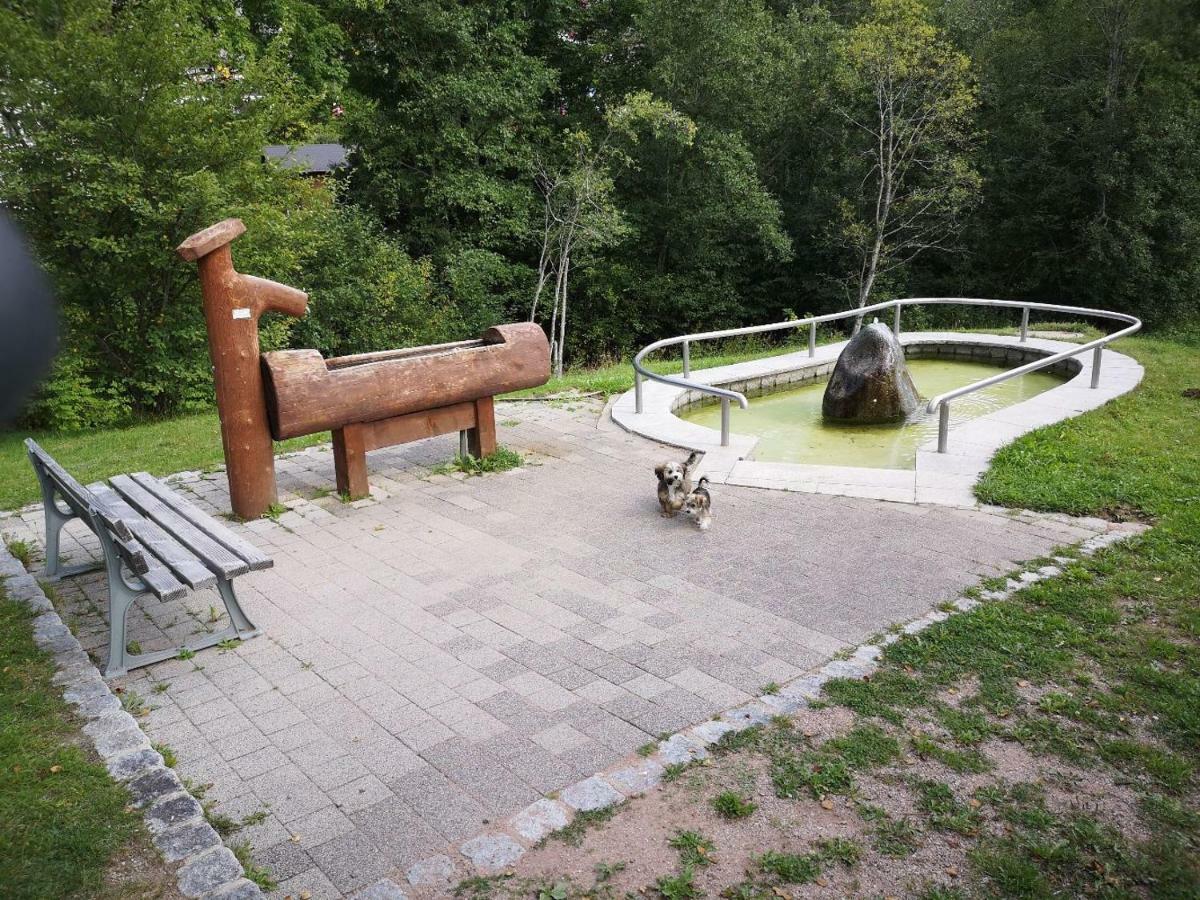 Menzenschwand-Hinterdorf C4 Albmatte-Fewo Sauna, Hallenbad Aussenbecken Massagen Nebenan מראה חיצוני תמונה