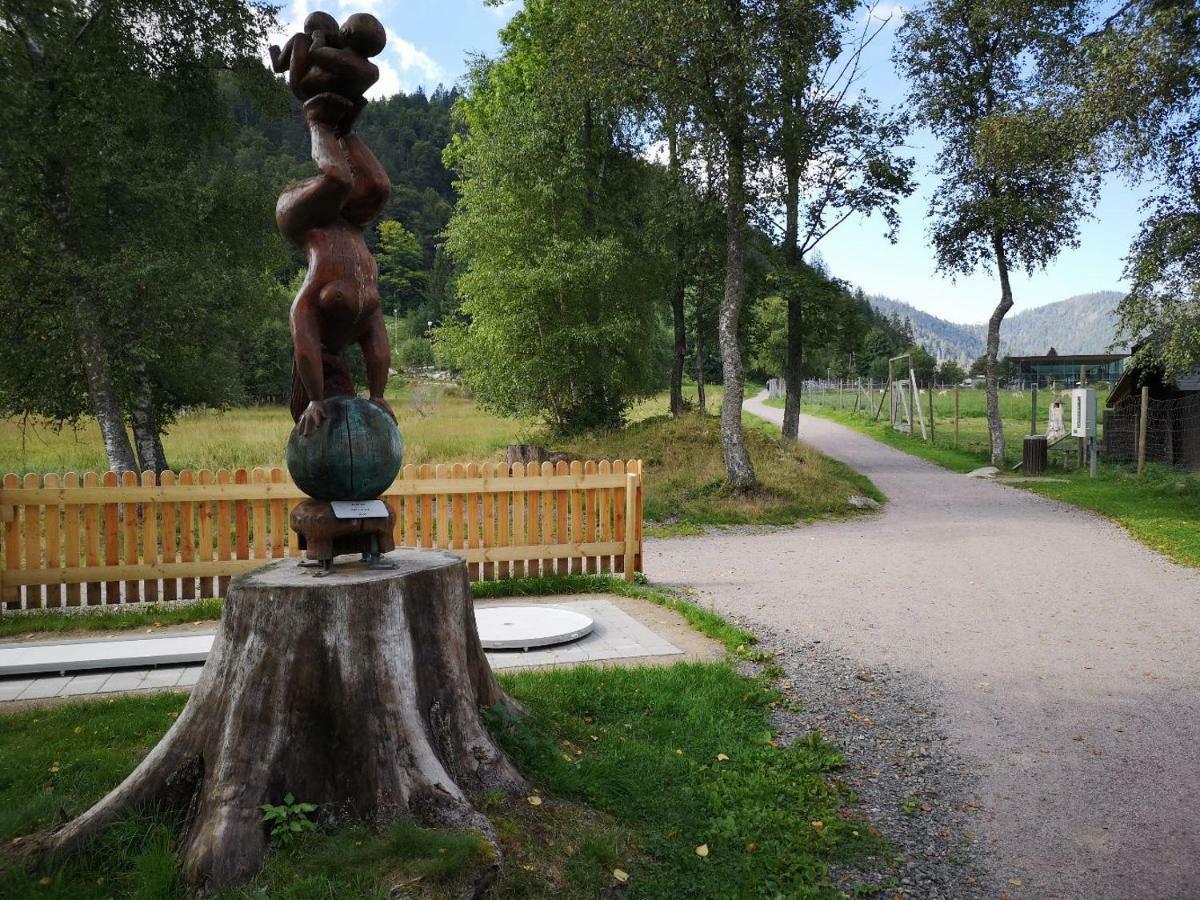Menzenschwand-Hinterdorf C4 Albmatte-Fewo Sauna, Hallenbad Aussenbecken Massagen Nebenan מראה חיצוני תמונה
